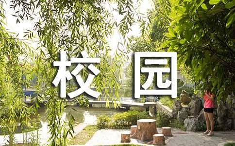 篮球经纪人推荐的试训技巧_1