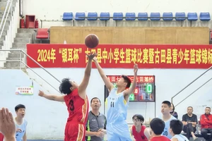 寻找适合青少年的篮球锦标赛:全面指南与实用建议